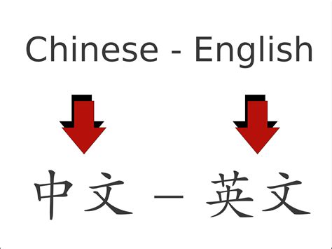 糞坑 英文|糞坑 in English. 糞坑 Meaning and Translation from Chinese。